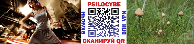 цена наркотик Химки OMG ONION дарк нет клад Псилоцибиновые грибы ЛСД