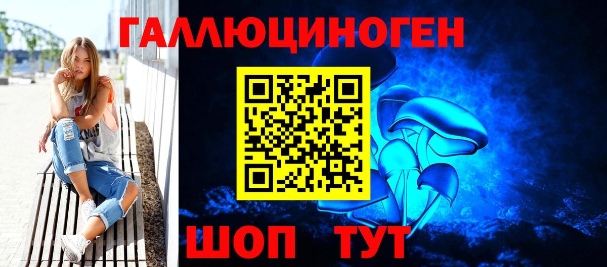 Галлюциногенные грибы Psilocybine cubensis Химки